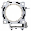 Niche Engine Cylinder Gasket Kit For Honda Trx450 R Es 12100-hp1-601 12191-hp1-601