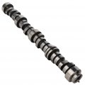 Engine Camshaft Kit Fit For 2008-2013 Chevy Express 1500 2008-2016 2500 2009-2012 Colorado 12625437 
