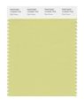 Pantone Smart 13-0522x Color Swatch Card Pale Green 