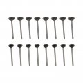 Secosautoparts 16pcs Intake Exhaust Valves Fit For Buick Cadillac Chevrolet 1 4l Dohc 2011-2019 Ma-9761309755