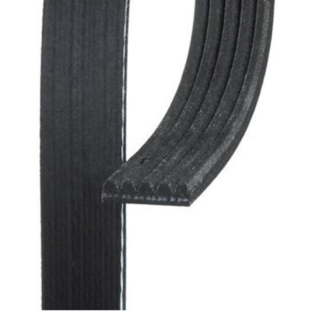 Standard V Ribbed Serpentine Belt For Dodge Colt 1994 Black 5 Ribs 970mm Outside Circumference 956mm Effective Length