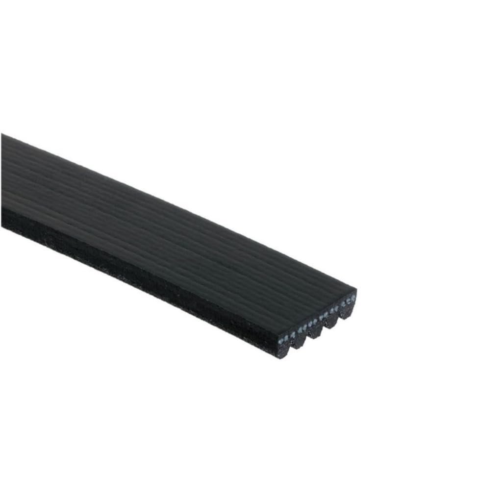 Standard V Ribbed Serpentine Belt For Dodge Colt 1994 Black 5 Ribs 970mm Outside Circumference 956mm Effective Length