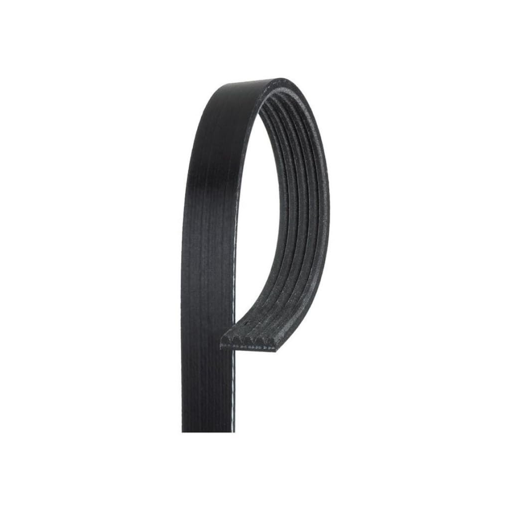 Standard V Ribbed Serpentine Belt For Dodge Colt 1994 Black 5 Ribs 970mm Outside Circumference 956mm Effective Length