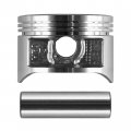 Caltric Engine Cylinder Piston Compatible With Honda Trx250x 2x4 2009 2011 2012 2013 2014