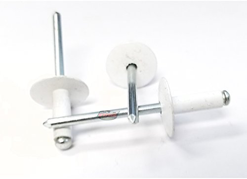 White 3 16 In Large Flange Aluminum Head Steel Mandrel Blind Pop Rivets 100 Pack