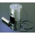 Standard Piston 09-601 For Powersports Vehicles 