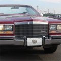 Au-tomotive Gold Cadillac Classic Logo Chrome Stainless Steel License Plate