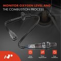 A-premium O2 Oxygen Sensor Compatible With Lexus Gs300 1993-1997 Toyota Camry 1994-1995 Echo 2000-2002 Prius 2001-2003 1 5l 3