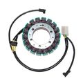 Electrosport Esg903 Stator Kawasaki Zx-9r Ninja 