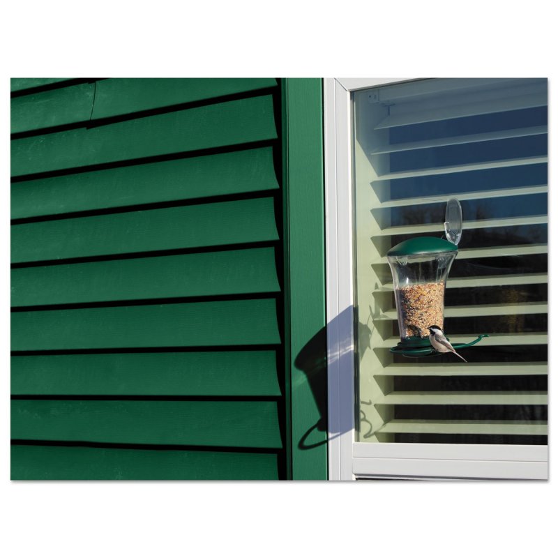 Command Outdoor Large Window Hook Clear Plastic 17093clr-awes