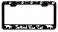 Selkirk Rex Cat Pets Black Metal License Plate Frame Tag Holder O31