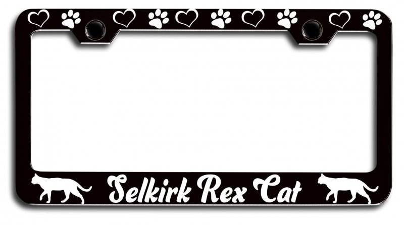 Selkirk Rex Cat Pets Black Metal License Plate Frame Tag Holder O31