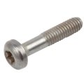 Bolt For Chevy Impala 2006 2010 Steel Zinc T20 Head 0 39 In 10 Mm Thread Length Heat Hardened Replacement Part 