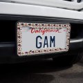 Slice Of Cake Pattern License Plate Tag Frame