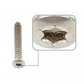 G-plus Headlight Bumper Bezel Trim Screw Kit Chrome Silver Stainless Steel Thread 8 Length 3 4 And 1 Torx Pan Head With A 9 32