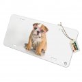 Graphics More British Bulldog Puppy Dog Wearing Heart Glasses Novelty Metal Vanity Tag License Plate