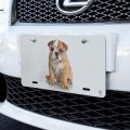 Graphics More British Bulldog Puppy Dog Wearing Heart Glasses Novelty Metal Vanity Tag License Plate