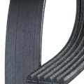 V Ribbed Serpentine Belt For Chevy S10 1994 1995 Black Gold Classification 6 Rib 2426 Millimeters Effective Length