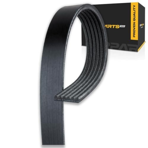 V Ribbed Serpentine Belt For Chevy S10 1994 1995 Black Gold Classification 6 Rib 2426 Millimeters Effective Length