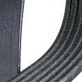V Ribbed Serpentine Belt For Chevy S10 1994 1995 Black Gold Classification 6 Rib 2426 Millimeters Effective Length