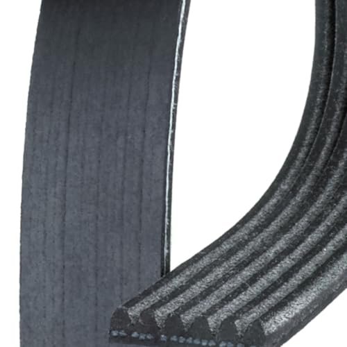 V Ribbed Serpentine Belt For Chevy S10 1994 1995 Black Gold Classification 6 Rib 2426 Millimeters Effective Length