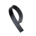 V Ribbed Serpentine Belt For Chevy S10 1994 1995 Black Gold Classification 6 Rib 2426 Millimeters Effective Length