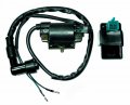 Ignition Coil Cdi Box 50cc 70cc 90cc 110cc 125cc Peach Eagle Kazuma Jcl Taotao 