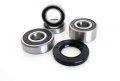 Rear Wheel Bearing And Seal Kit For Honda Vtx1300 2003 2004 2005 2006 2007 2008 2009 Includes 4 Pre Lubricated Bearings 1 