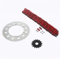 Kawasaki Klx300r 300 R Red O Ring Chain And Sprocket Silver 15 48 110l