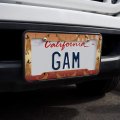 Belgian Malinois Dog Bite Training License Plate Tag Frame