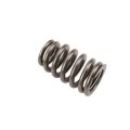 Buick Rainier 2004 2005 2006 2007 Valve Spring Made Of Steel Single Type 89 Psi Closed Pressure 263 2 Open 6 Installed 