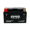 Mmg Ytz10s Gel Cell Factory Sealed Fully Charged Battery Street Bike Yamaha Yzf-r6 Fz8 Yzf-r1 