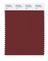 Pantone 19-1535 Tcx Smart Color Swatch Card Syrah 
