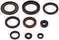 Complete Engine Oil Seal Kit 50-3002 For Suzuki Lt 250r Quadracer 88-92 And 500r Quadzilla 88-90 