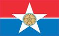 6in X 3in City Of Dallas Texas Flag Magnet Bumper Magnets Vinyl Magnetic By Stickertalk 
