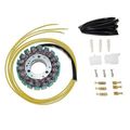 Procom Esg010 2001-2009 Suzuki Gs500k F Stator 3-phase 