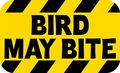 5in X 3in Bird May Bite Magnet Yellow And Black Magnetic Warning Sign Magnets By Stickertalk 