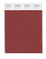 Pantone Smart 18-1531x Color Swatch Card Barn Red 
