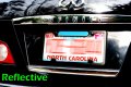 Stainless Steel License Plate Frame Black 4 Holes Blue Line