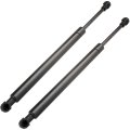 Window Glass And Hood Lift Support Struts For Volkswagen Touareg 2004 2010 Set Of 2 Gas Springs 6617 Pm3075 
