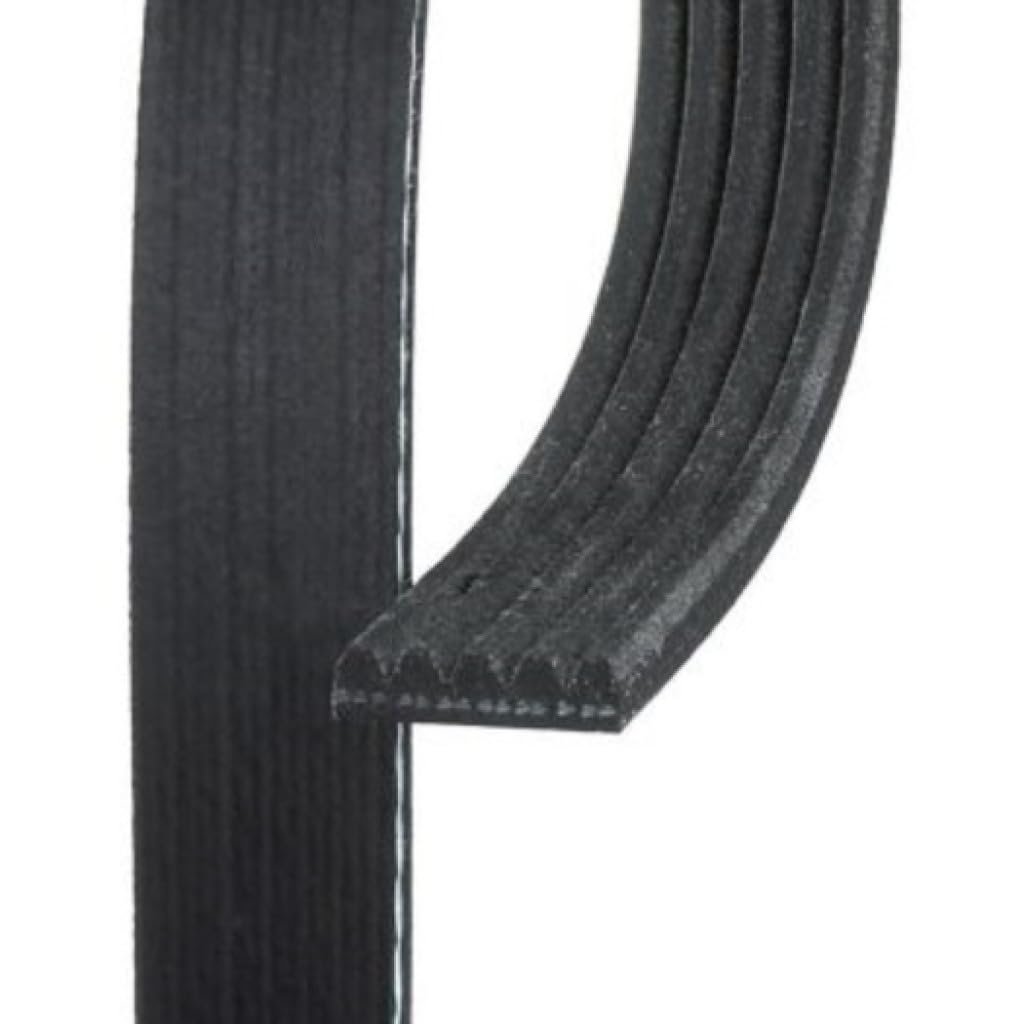 Standard V Ribbed Serpentine Belt For Audi A8 Quattro 2013 2014 2015 2016 2017 2018 Black 5 Ribs 981 Mm Effective Length