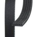 Standard V Ribbed Serpentine Belt For Audi A8 Quattro 2013 2014 2015 2016 2017 2018 Black 5 Ribs 981 Mm Effective Length