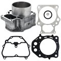 Niche Cylinder Gasket Kit For Honda Pioneer 520 Sxs520m2 Foreman Rubicon 500 Trx520 12191-hr6-b01 96mm 