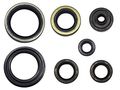 Outlaw Racing Or3511 Engine Oil Seal Kit Suzuki Rm250 1996-2002 Motorcycle Dirtbike Mxc 