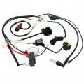 Complete Electrics Wiring Harness Kit With D8ea Spark Plug Cdi Ignition Coil For Chinese Dirt Bike 150cc 200cc 250cc Zongshen 