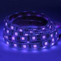 Uv Black Light Led Strip 16 4ft 300 Smd 5050 Leds 72w Dc 12v Waterproof Ip65 Flexible Neon Purple And Blue Tape For Glow Party