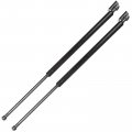 Aintier Automotive Replacement Shock Lift Supports Fit For Nissan 350z 2003-2008