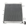 Cooling Radiator With Cap 709200145 Replacement For Ds650 2005-2007 
