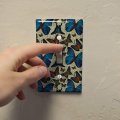 Butterflies Blue Exotic Pattern Plastic Wall Decor Toggle Light Switch Plate Cover