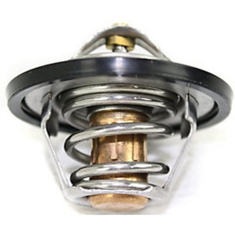 Volkswagen Beetle Jetta Thermostat 1998-2005 050121113c
